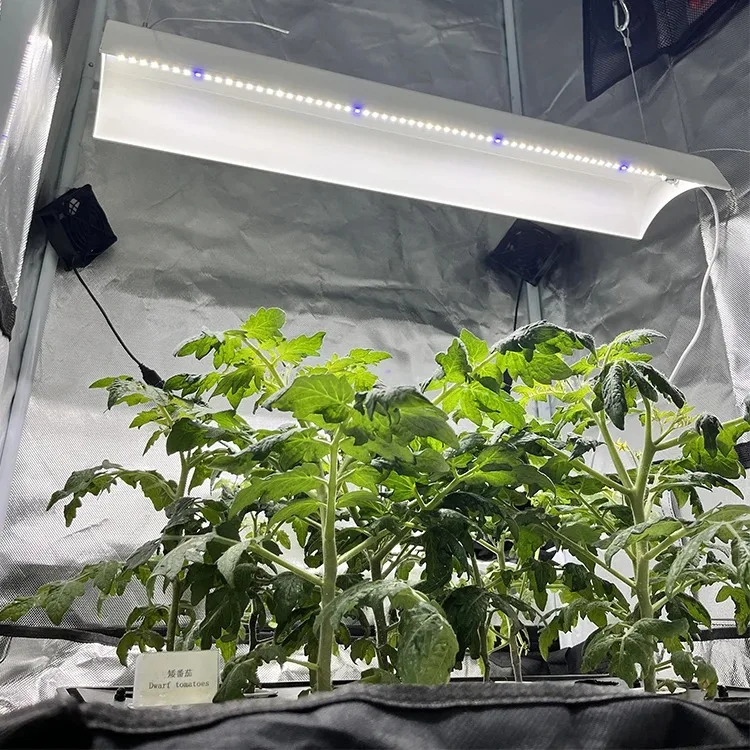 

4FT 72W Full Spectrum LED Growing Strip Horticulture Lighting Fixture Hanging Plant Light for Hydroponic Indoor Plants Seeding