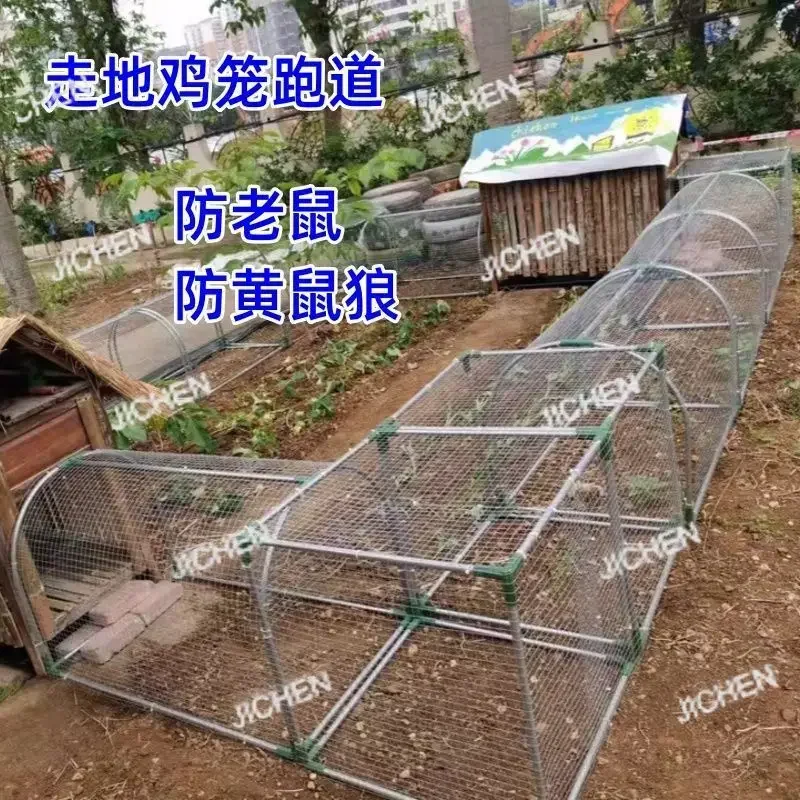 Kandang Ayam Jaringan Kereta Bawah Tanah HS JC, Kandang Ayam Jalur Terbuka, Kandang Ayam Terowongan, Peternakan Ayam Luar Ruangan, Kandang Ayam Halaman, Peternak Ayam Bebas