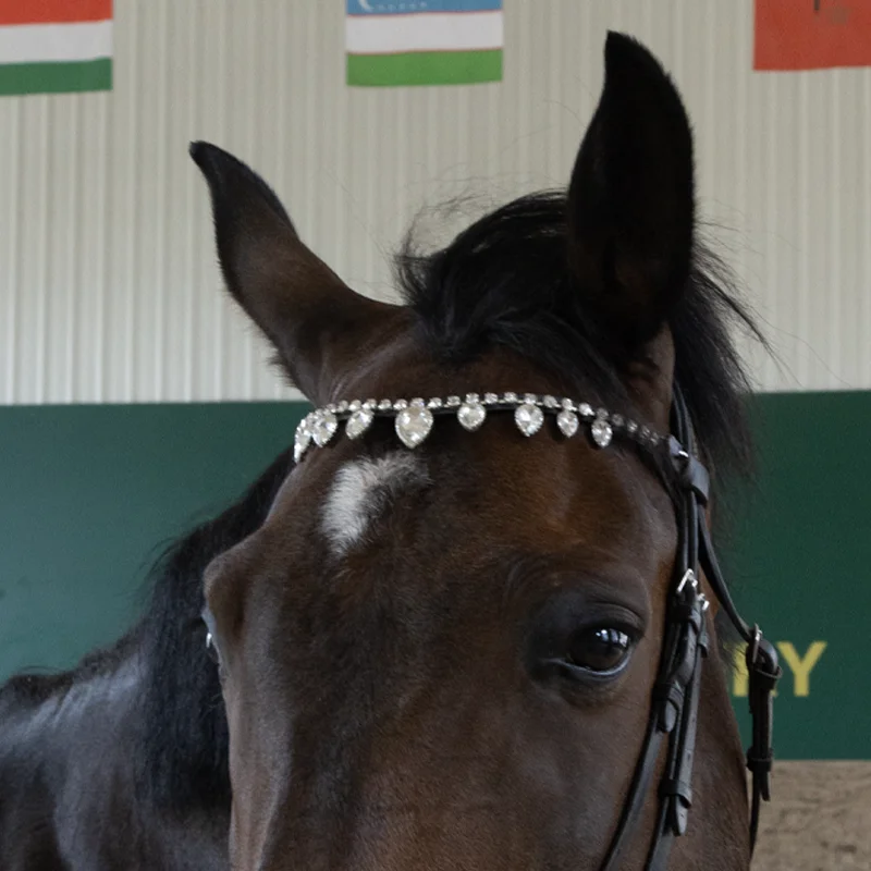 diamond-horse-eyebrow-band-leather-stud-removable-decorative-equestrian-equipments-matching-bridle