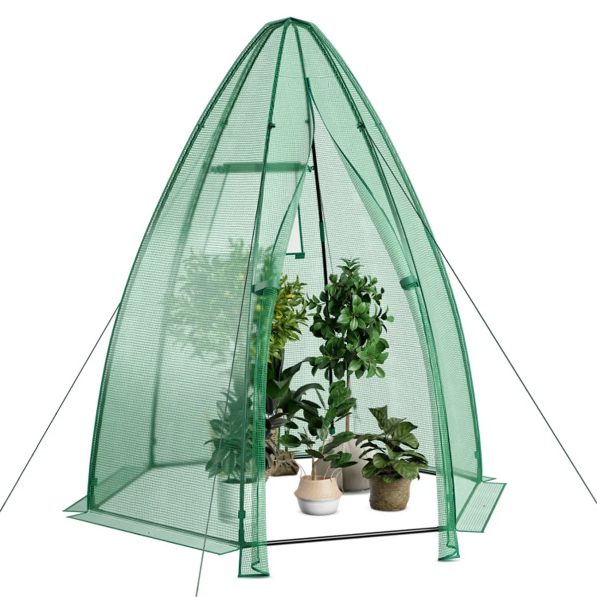 

Stock Mini Greenhouse 63" x 63" x 72" Provide Protection All Seasons Excellent Wind Resistance Zippered Door Roll-up Window