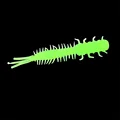03 grass