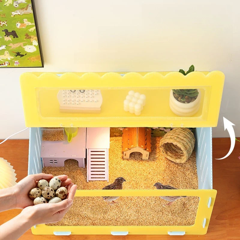 Rutin Chicken Feeding Box Landscaping Pet Brooding Box House Lizard Hamster Feeding Special Incubation Box for Raising Chicks