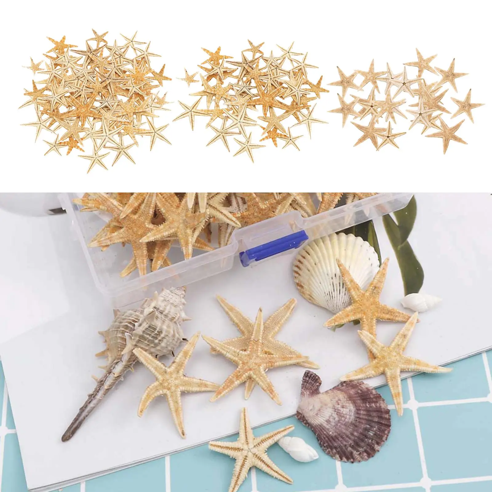 Natural Flat Tan Starfish Mini Sea Star Seashells Crafts Aquarium Decor