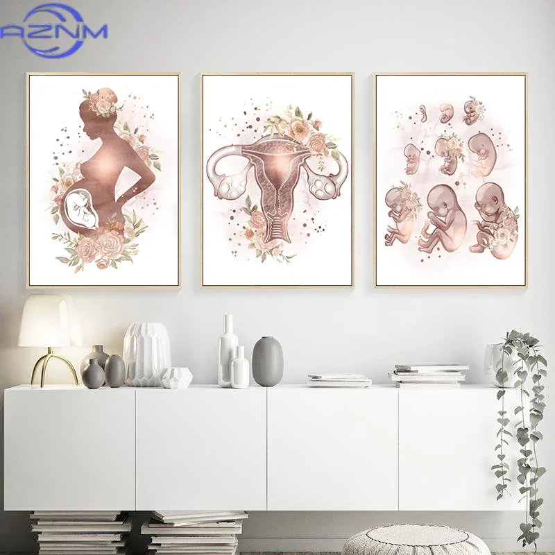 Female Anatomy Fertility Pregnancy Posters Prints Canvas Painting Wall Art Picture Gynecology Obstetrics Decoration Mural Gift