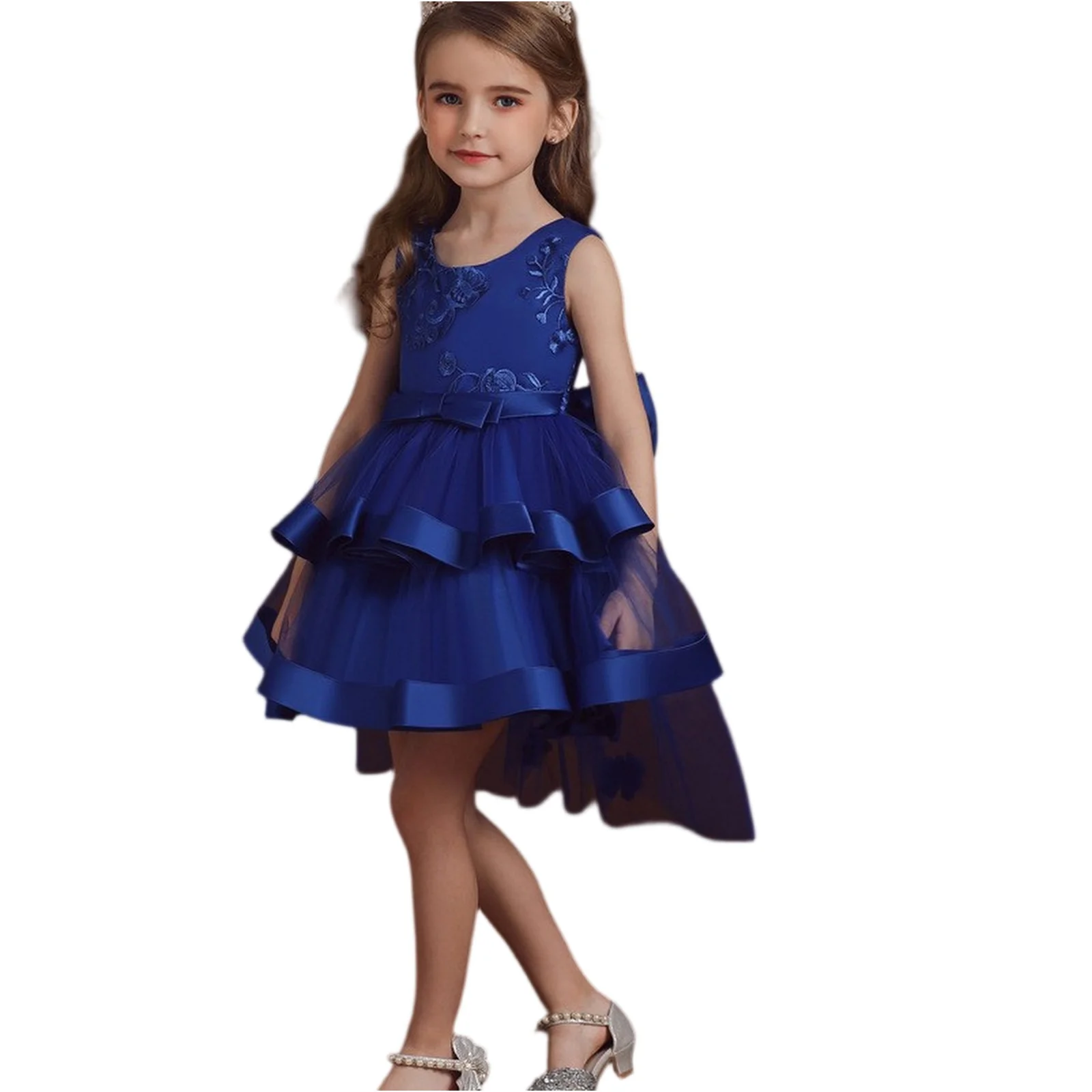 

Delicate Formal Occasion Pretty Mesh Princess Dress Simple Design Princess Gown Performance Girl Christmas New Year Girl Dress