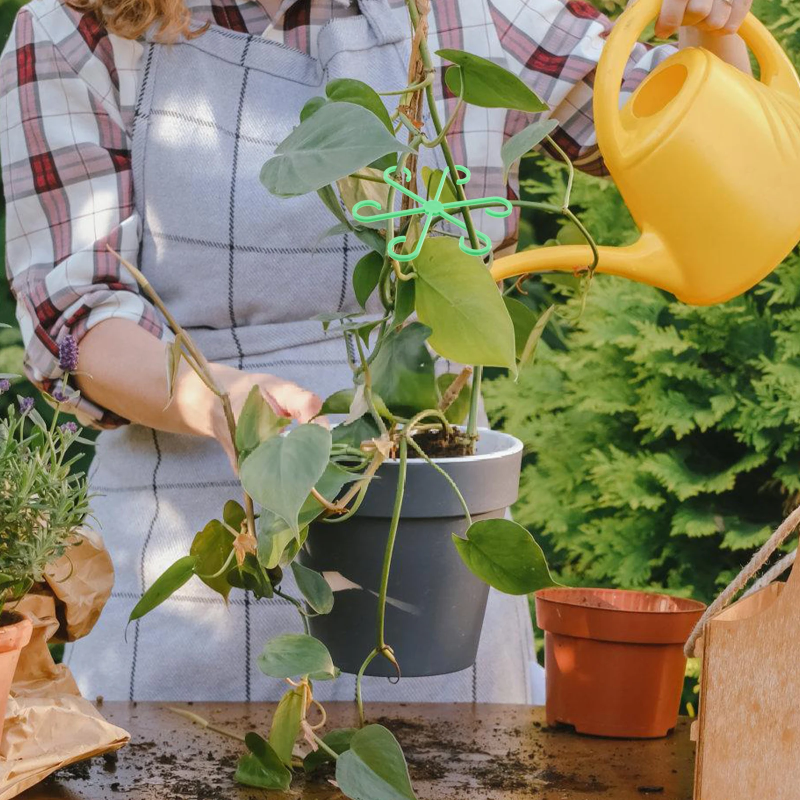 

12 Pcs High-Quality Plant Support Clips For Climbing Plants Stem Holders And Trellis Connectors Essential Gardening Tools