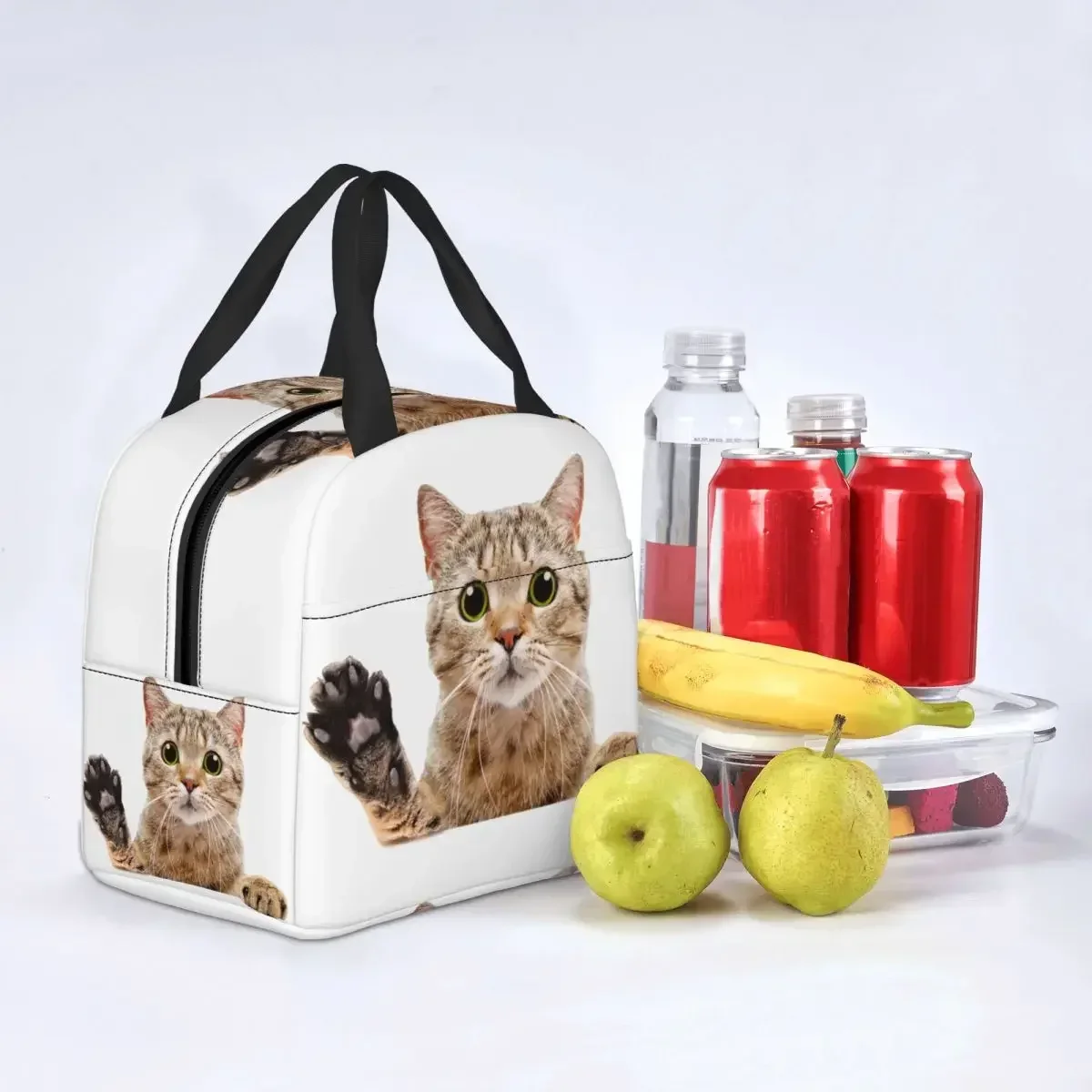 Niedliche schottische Katze späht Lunch Bag auslaufs ic heres Picknick isoliert warm kühler thermische Lunchbox für Frauen Kinder Tote Container