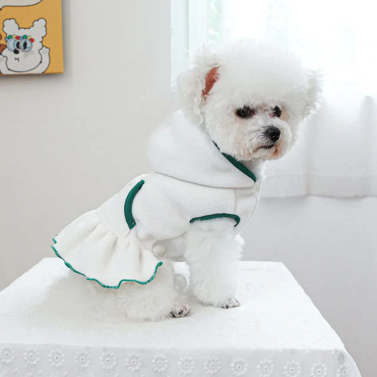 Pet Hooded Plush Hoodie Little Dog Cat Clothes Autumn and Winter Tennis Dress Dog Coat Jacket Puppy Clothes Dog Accessories