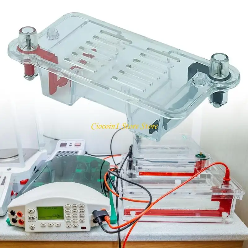 Lehrgerät für Elektrophorese, Biologie-Labor, Lehrmittel für Gel-Separations-Experimente, Schul-Labore – Detail 3