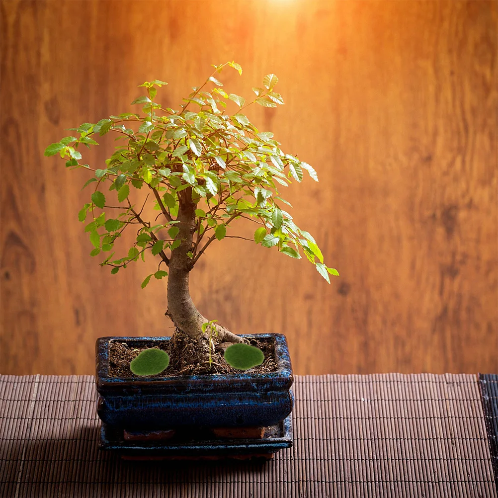 

24pcs Artificial Moss Stones Micro Landscape Rock Decor For Garden Bonsai Fish Tank Faux Mossy Stone Ornament Decorative Stones