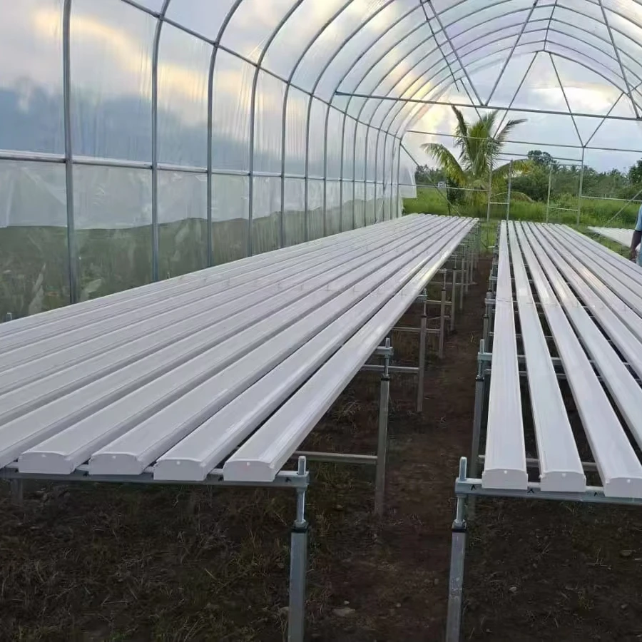 

Customized greenhouseCommercial Customized Big Size Intelligent Hydroponic Greenhouse Agricultural Vegetable Flowers Fruits