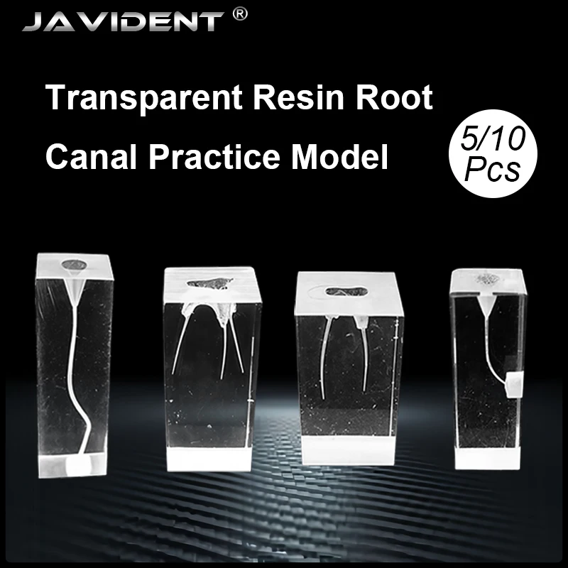 5/10Pcs Endo Teeth Dental Root Canal Practice Block Study Model RCT Pulp Cavity Training Clear Resin Demo Dentist Teaching Model
