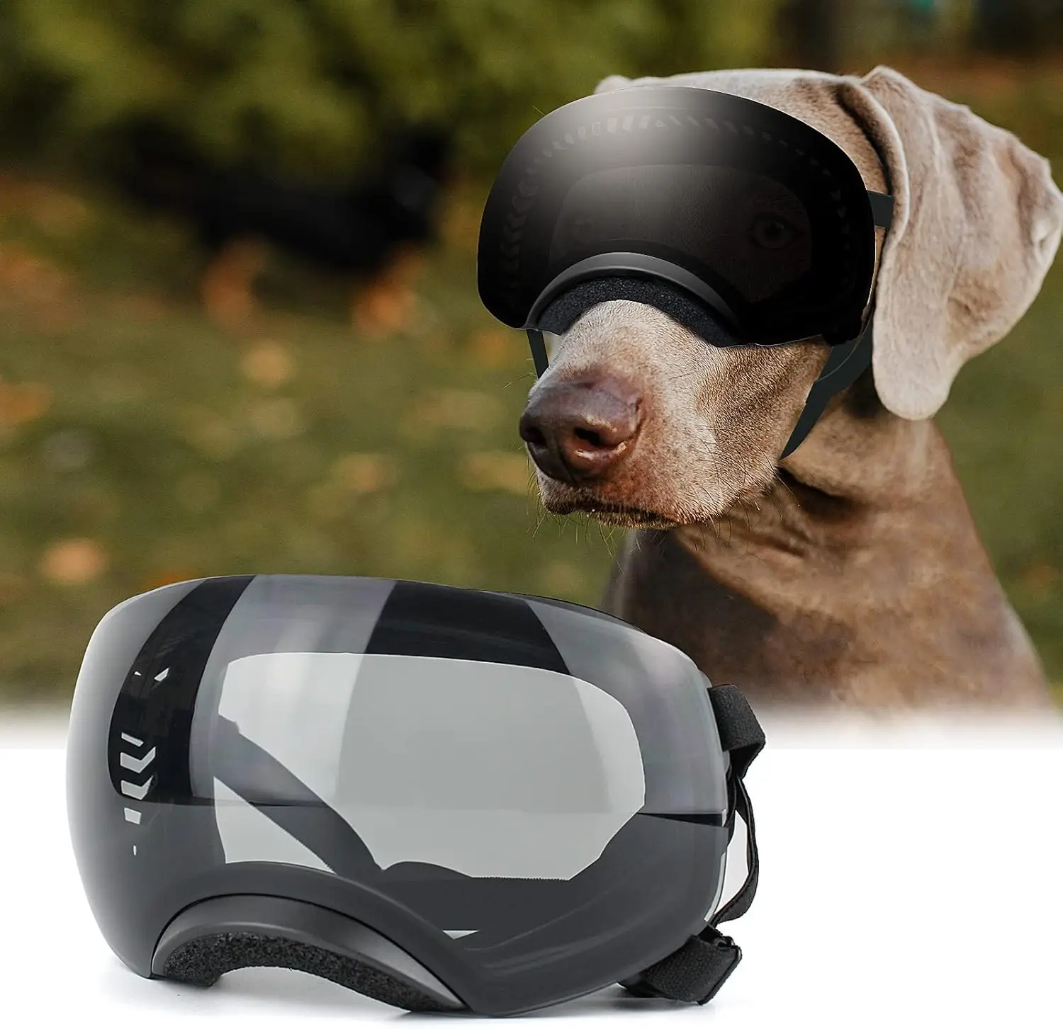 

Dog Goggles 2 Magnetic Replaceable Lens Dog Sunglasses for Medium to large breed Dogs Wind Snowproof Skiing Dog Eye Protection