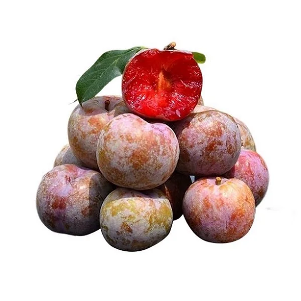 

Специальная ссылка только для одного человека, другие размещения заказов, но не отправляются