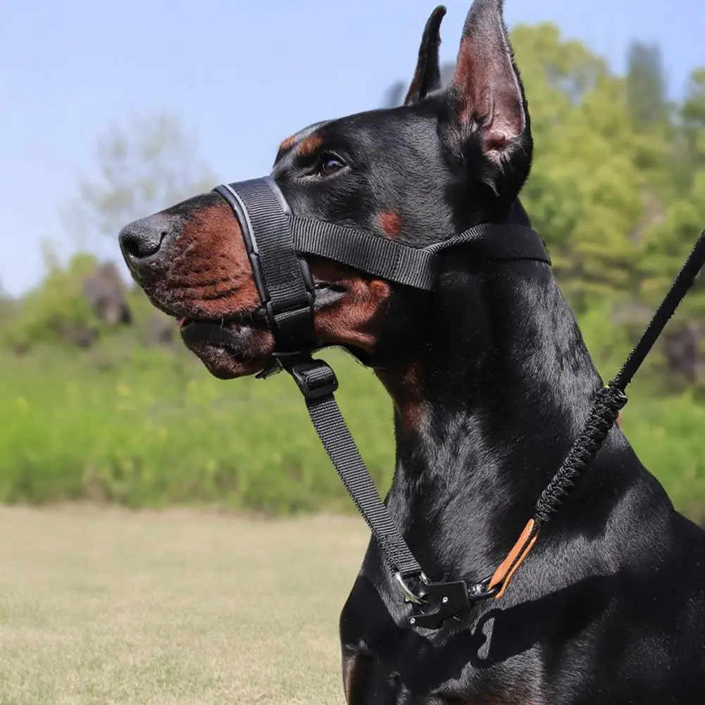 No-Pull Dog Head Collar Adjustable Dog Head Halter with Padded Nose Band Reflective Training Muzzle Leash for Medium Large Dogs
