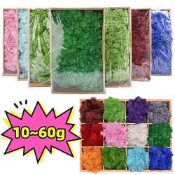 New Artificial Green Plants Eternal Life Moss Grass DIY Potted Plants Mini Landscape Fake Grass Garden Wall Decor Preserved Moss