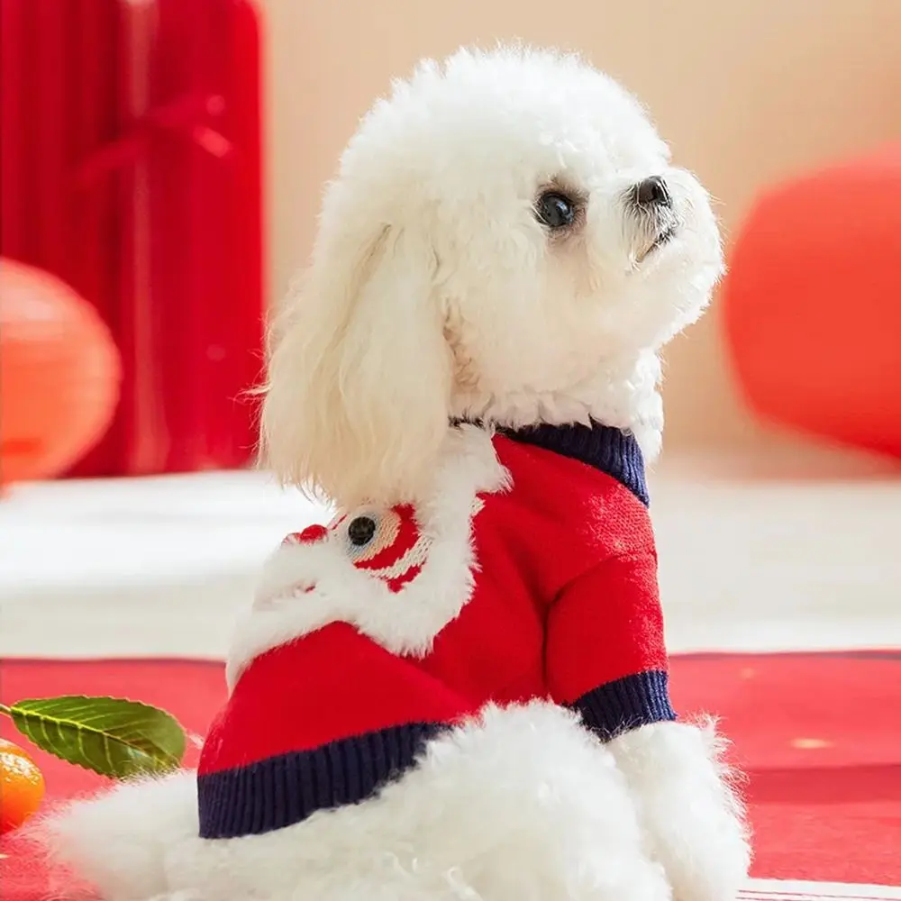 겨울 고양이 강아지 조끼 귀여운 스웨터 이미지