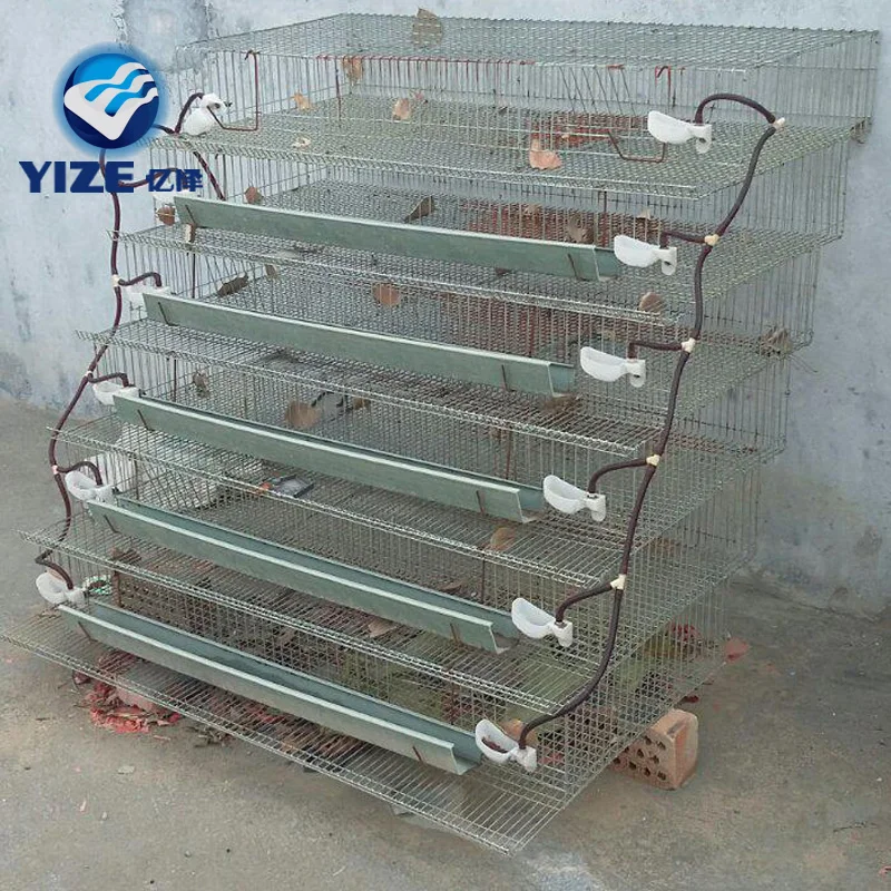Quail Layer Battery Cages Design 200 to 600 Birds Hot Sale in Malaysia Automatic Egg Collection Quail Cages for Egg Production