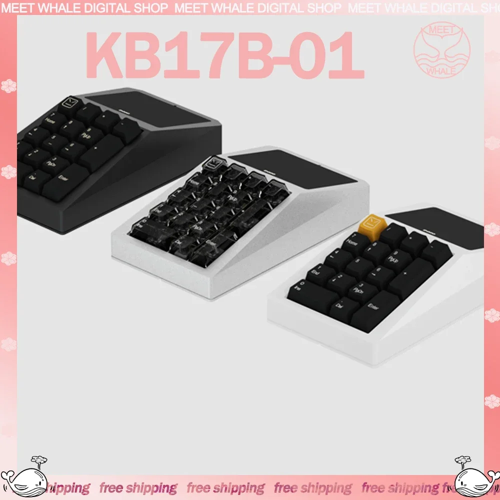 

Doio Kb17-B01 Numeric Keypad Kit 2Mode USB Bluetooth Wireless Mechanical Keyboard Kit Cyberpad Custom Hot Swap Gamer Accessories