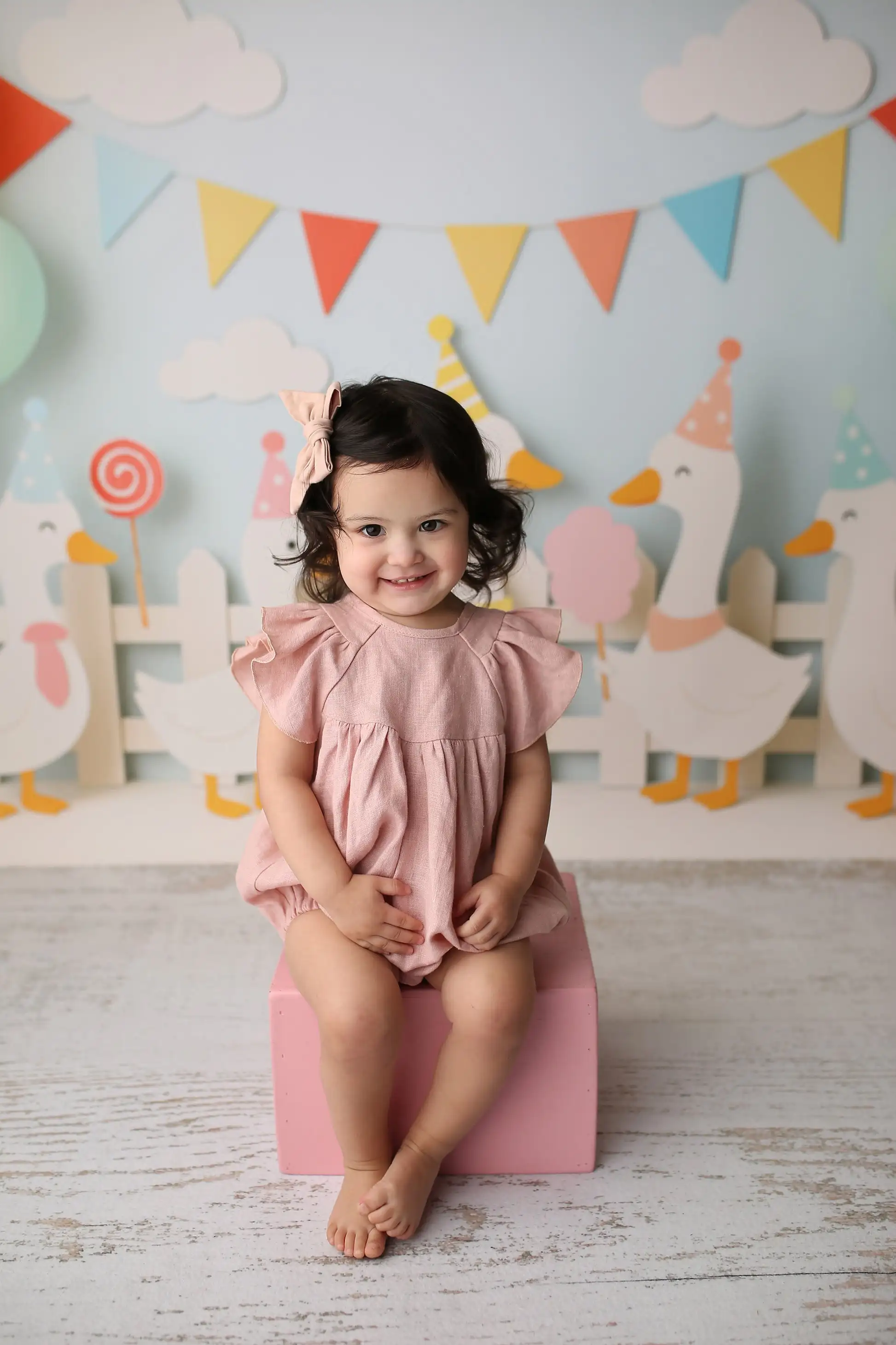 One Silly Goose Party Backdrop Kids Baby Cake Smash Photography Props Child Adult Birthday Photocall Backgrounds