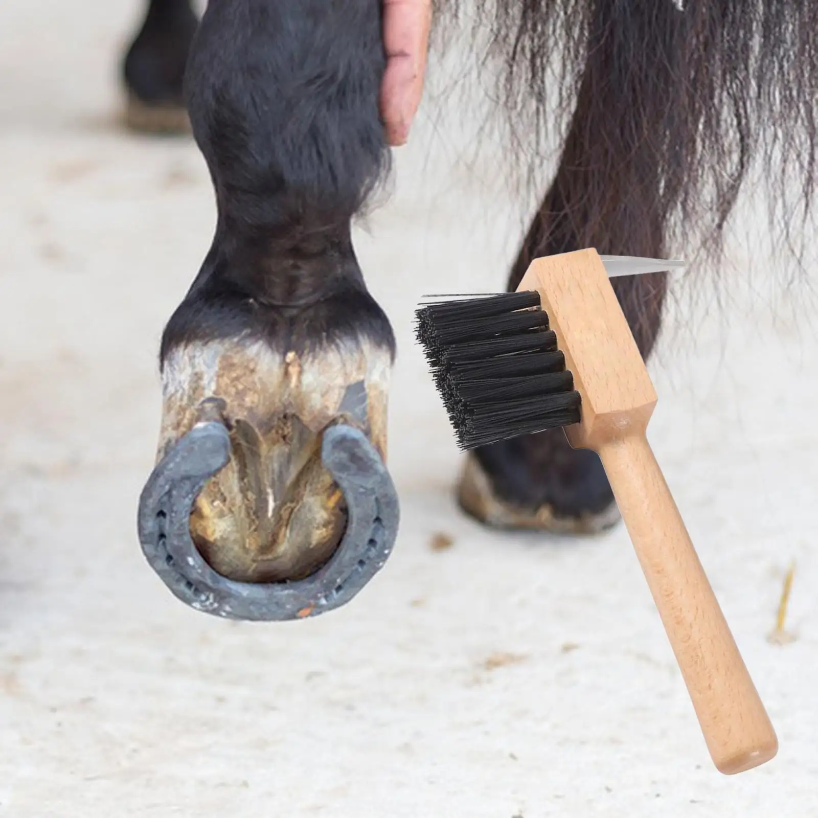 

Horses Hoof Pick Professional Horse Hoof Hook Comfortable Grip Massage Tool Equine Brush for Goats Cattle Sheep Horses Grooming