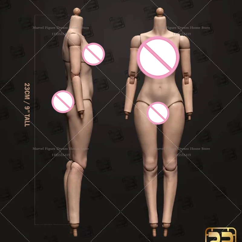 

In Stock BD007 1/6 Scale Fashion Model Female Double Joint Arm Mobility Body Flexible Posture Fit 12-inch Action Figure Toys