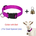 Purple goat collar