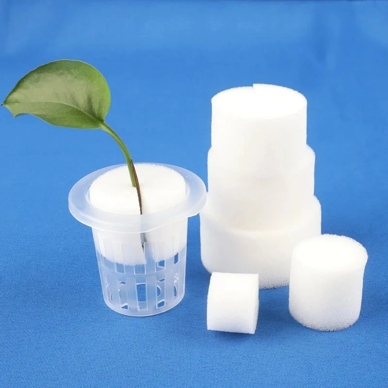 100Pcs Bodenlosen Hydrokultur Gartenpflanzen Werkzeuge Gepflanzt Schwamm Gemüse Anbau System Kindergarten Samen Pflanzung Tabletts Schwamm – Detail 10