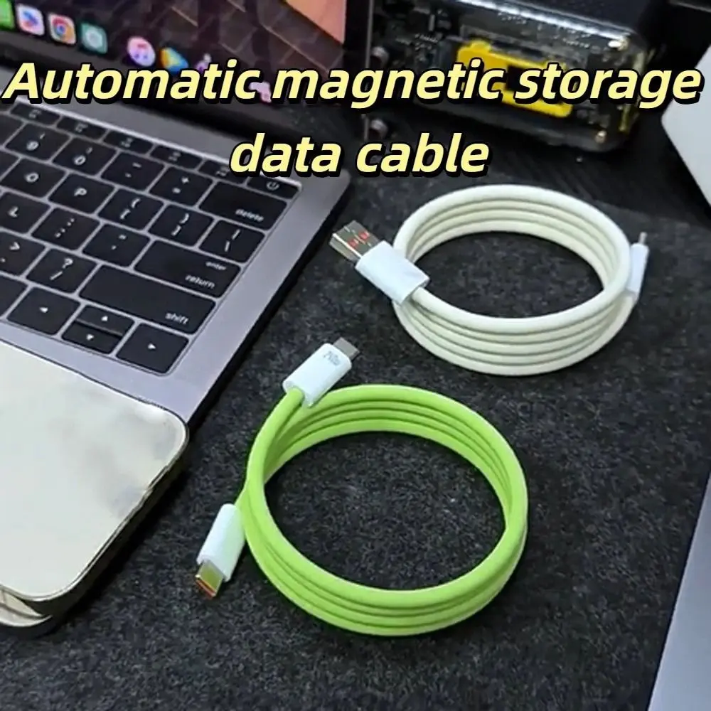 Magnetic Type C Sil…