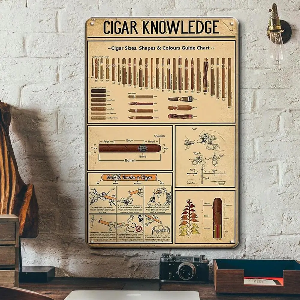 Accessoires pour cigares, enseigne en métal rétro sur le thème des cigares pour la maison, la cuisine, le café, le bar, 8x12 pouces, cadeaux pour hommes sur le thème des cigares