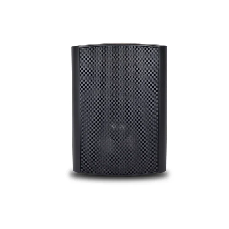 Trending products 2023 new arrivals Wifi Wireless Bluetooth Indoor/Outdoor in Wall mounted waterproof Speaker smart home theater