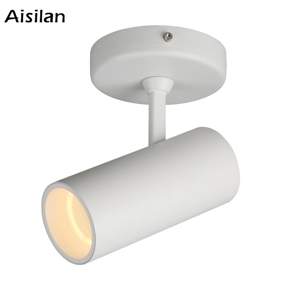 Aisilan Modern Nordic LED Ceiling Spotlight Surface Mounted For Gallery Backgroud Wall Living Room Bedroom Corridor 12W White