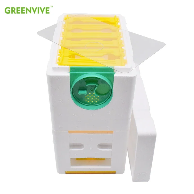 Multi-Functional Beehive Beekeeping King Box Foam Double Nuc Queen Bee Hive Pollination Boxes Harvest Beekeeping Mating Supplie