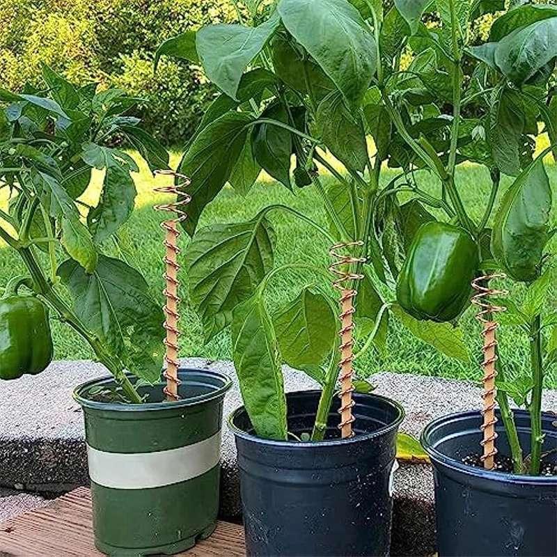 1/2/3pcs Copper Wire Plant Stakes Gardening Plants Growing Climbing Sticks Garden Plants and Vegetables Support Holder