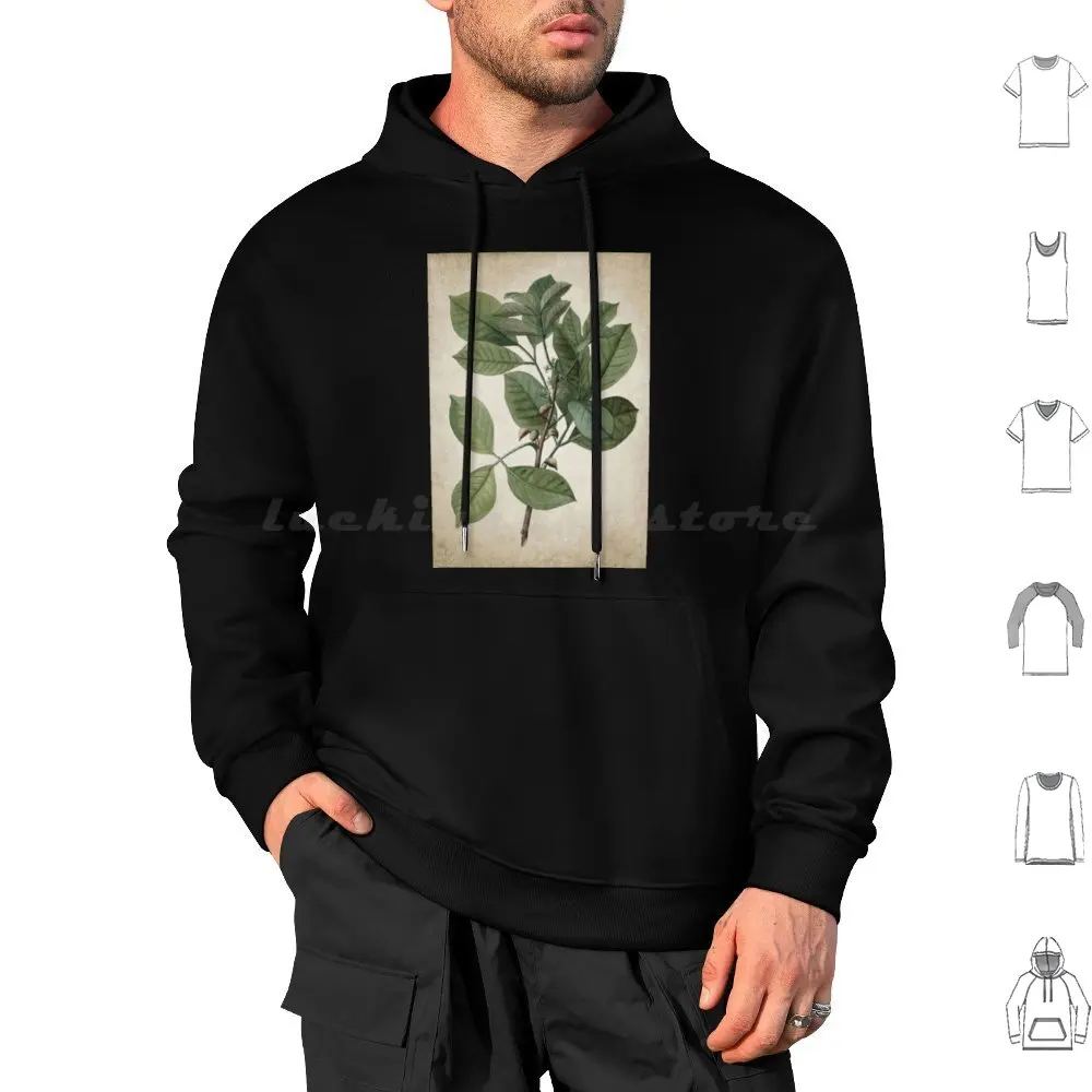 Dark Academia Peony Botanica Hoodie cotton Long Sleeve Dark Academia Botanical Dark Moody Dark Cottagecore Gothic