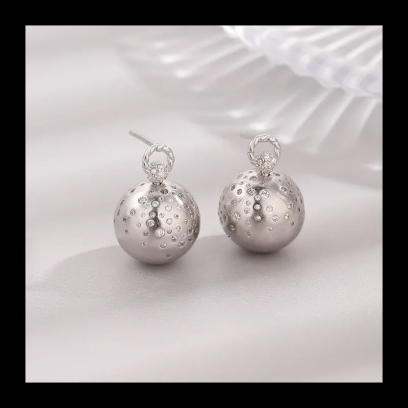 

Europe, America, Japan and South Korea Hot-selling S925 Versatile Fashion High-end Design Sense Irregular Pattern Earrings Women