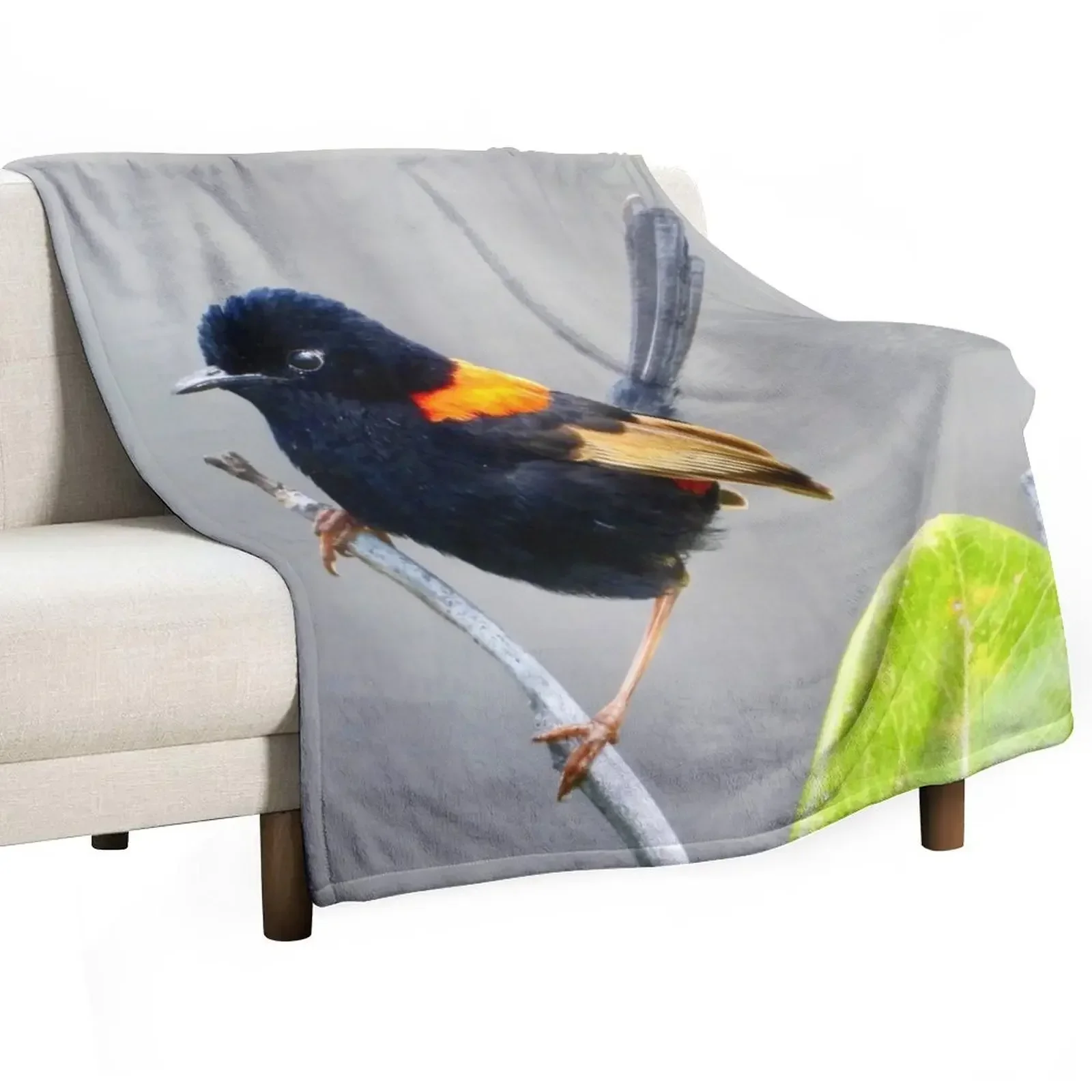 

Red Backed Fairy Wren looking proud Throw Blanket Single Blankets For Bed warm winter funny gift Blankets