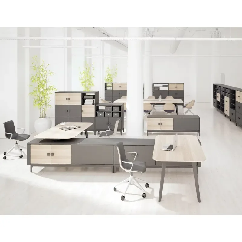 OMNI Vertical File Rack Office Side Cabinet Lockable Smooth Slide Rail Storage Organizer