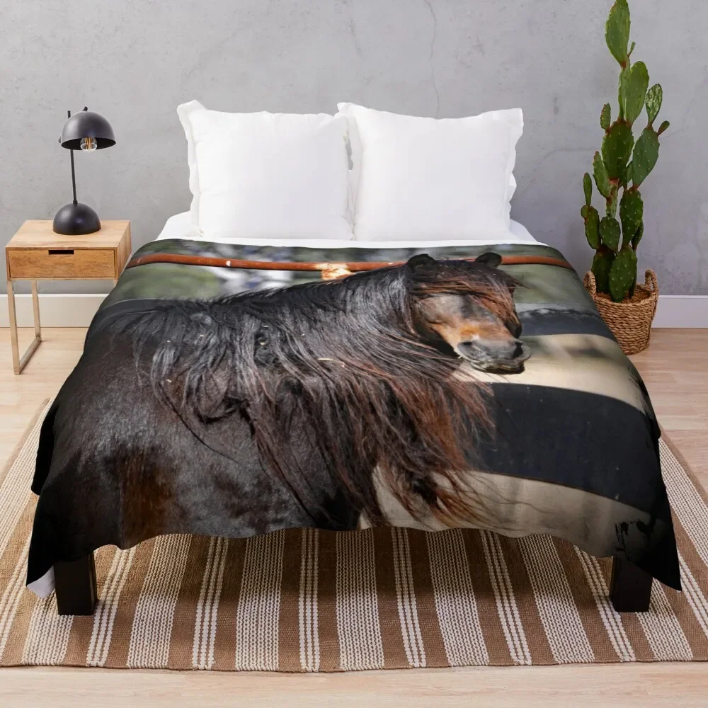 

Australian Brumby Stallion. BRUMBY. Throw Blanket Travel Furrys Blankets