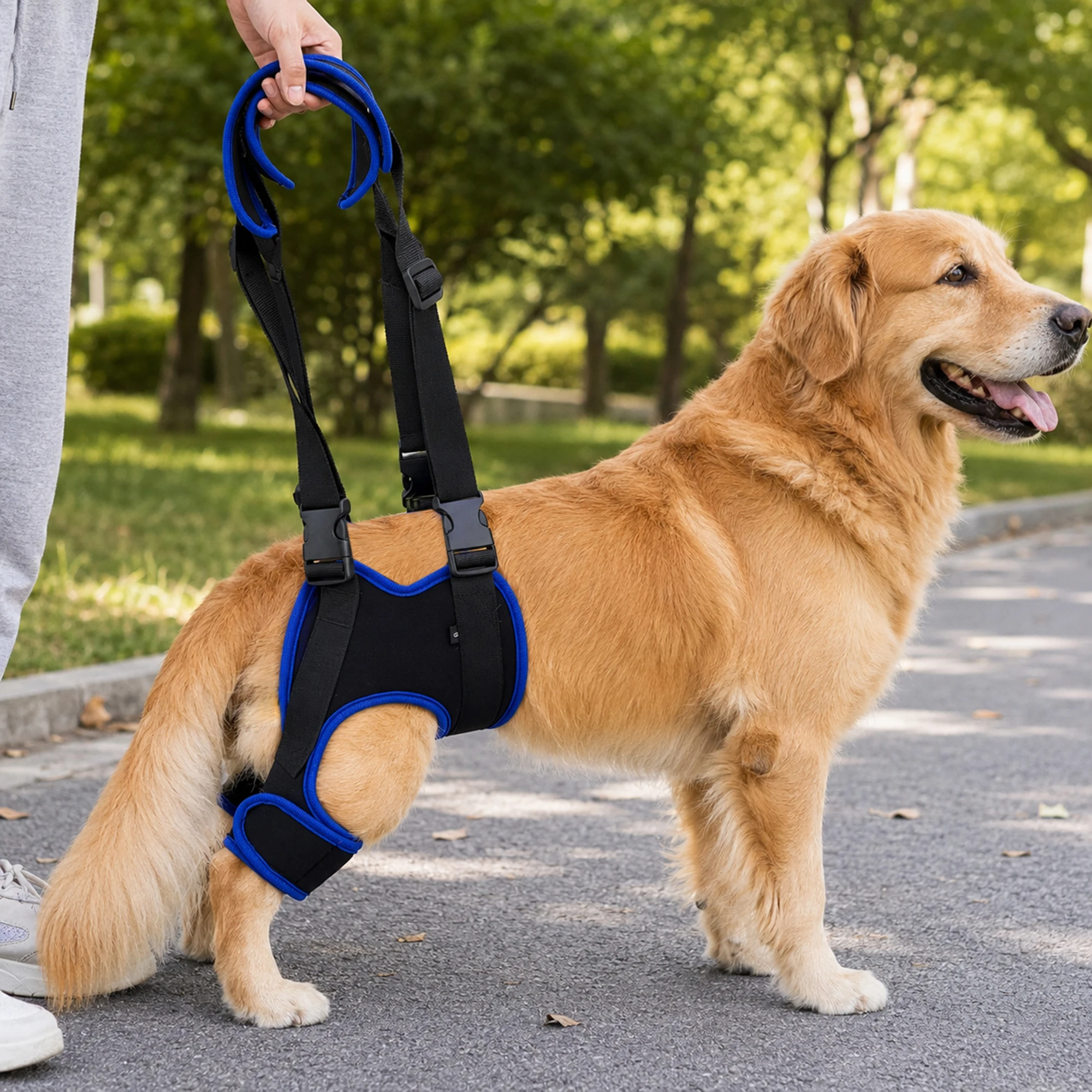Dog Hind Leg Auxiliary Harness Senior Dogs Walking Assistance Walk Buffering Pressure‑Relieving Adjustable Breathable