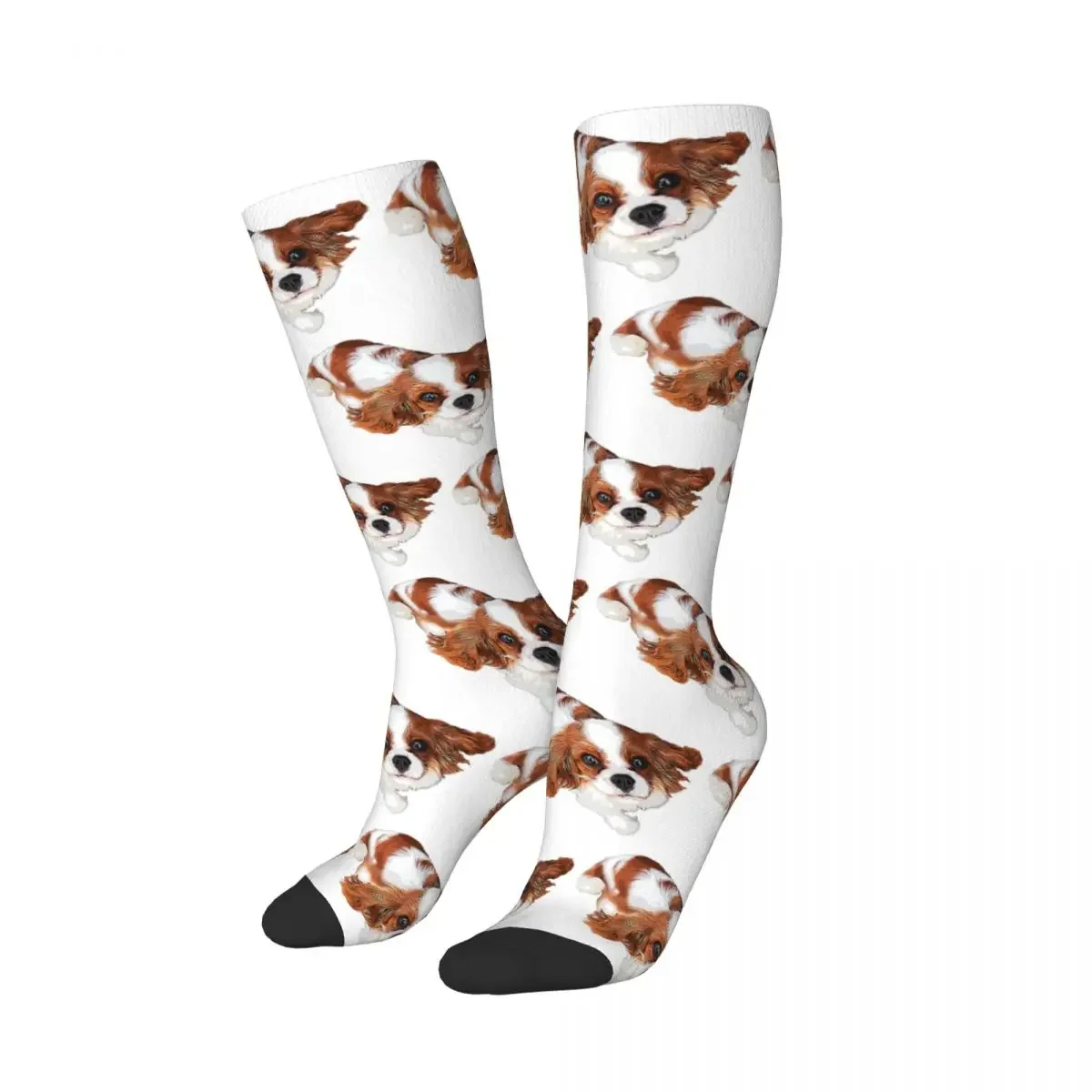 Cavalier King Charles Spaniel Looking Up Socks Harajuku Sweat Absorbing Stockings All Season Long Socks Accessories Unisex Gifts