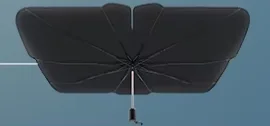 브라운