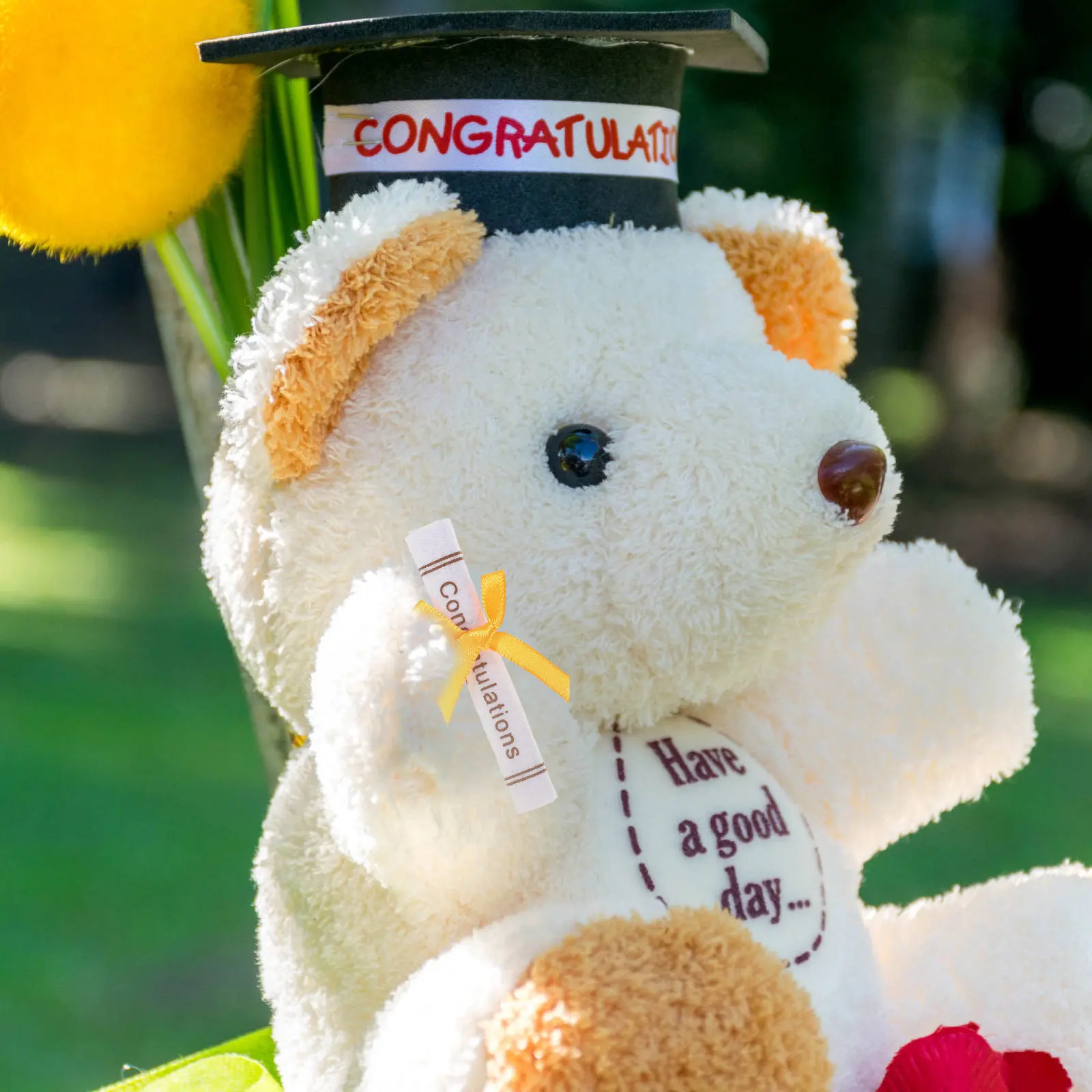 

25Pcs Graduation Certificate Scroll Mini Non-Woven Landscape Ornament Party Decoration Graduation Season Souvenir Desktop