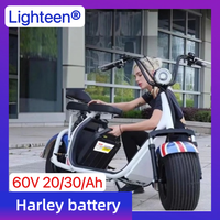 60V 20Ah-60Ah Cycle Rechargeable Electric Vehicle Lithium BatteryforHarley2-Wheel Folding Citycoco Electric Scooter Free Charger