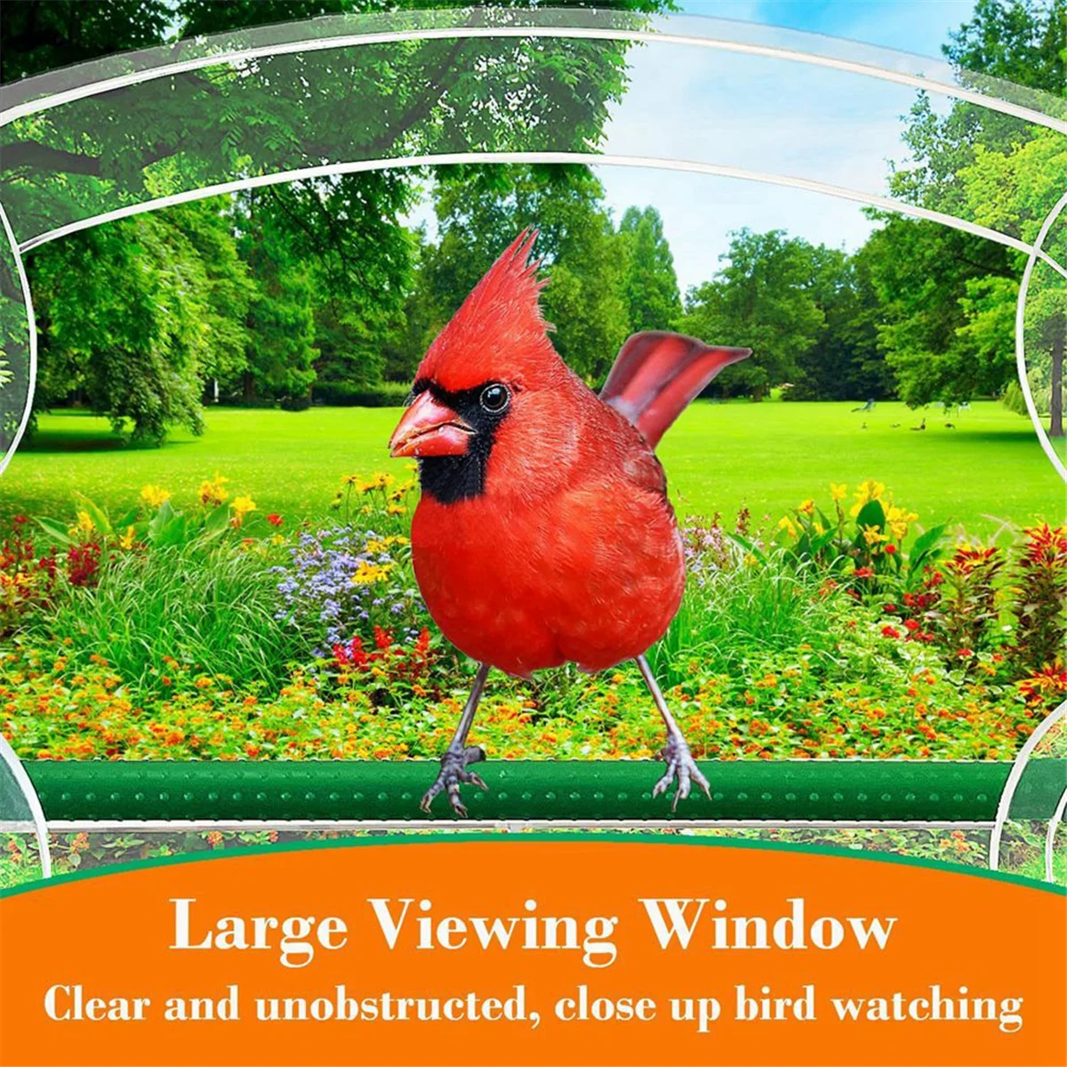 Bird Feeder Acrylic Transparent Window Bird Feeder Tray Bird House Pet Feeder Suction Cup Installation House Type Feeder