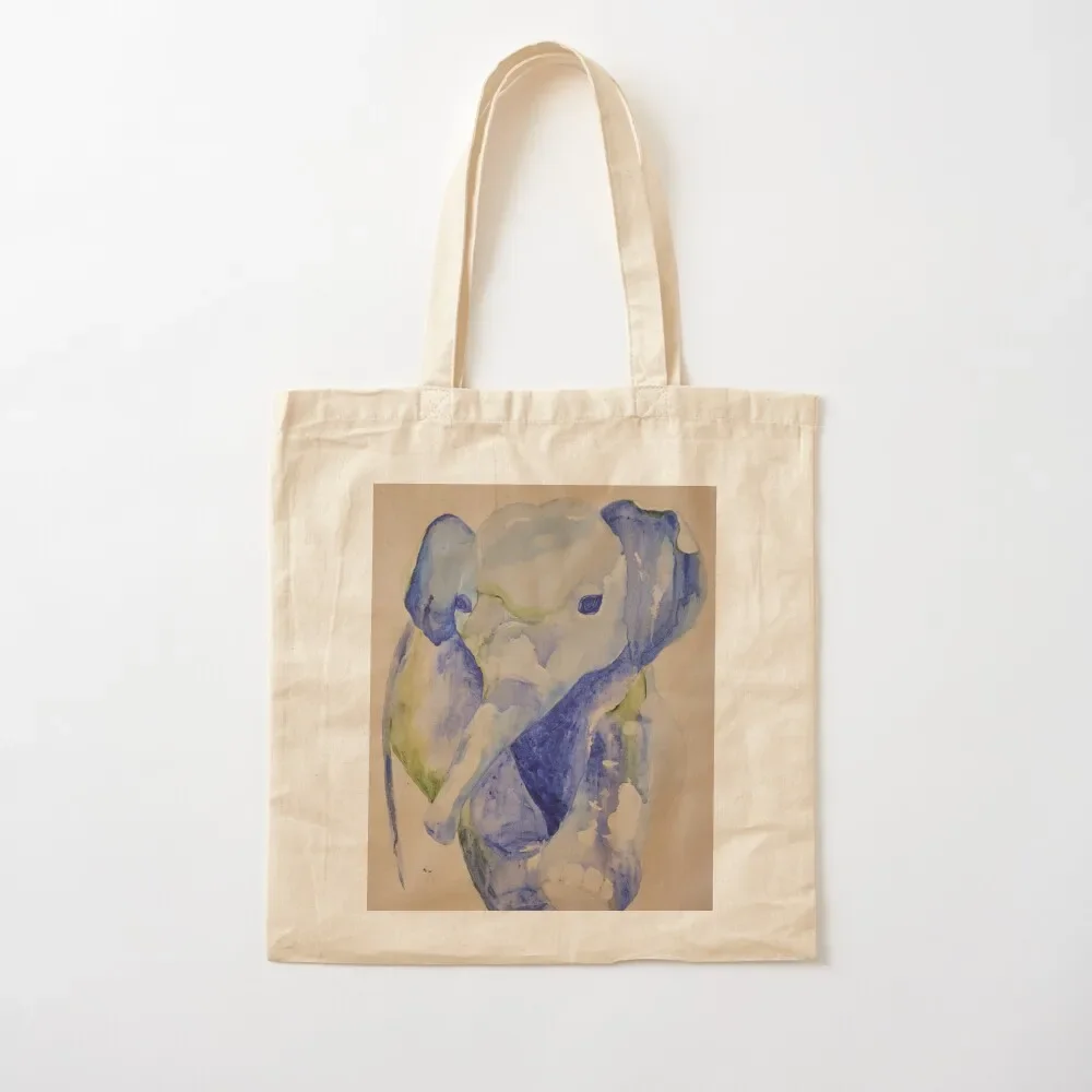

Baby blue Tote Bag Canvas Women's bag tote bag university hand