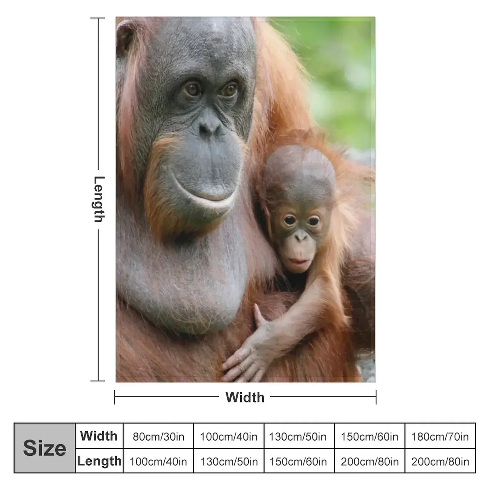 OrangUtan 003 Throw Blanket Tourist Soft Beds Bed Fashionable Blankets