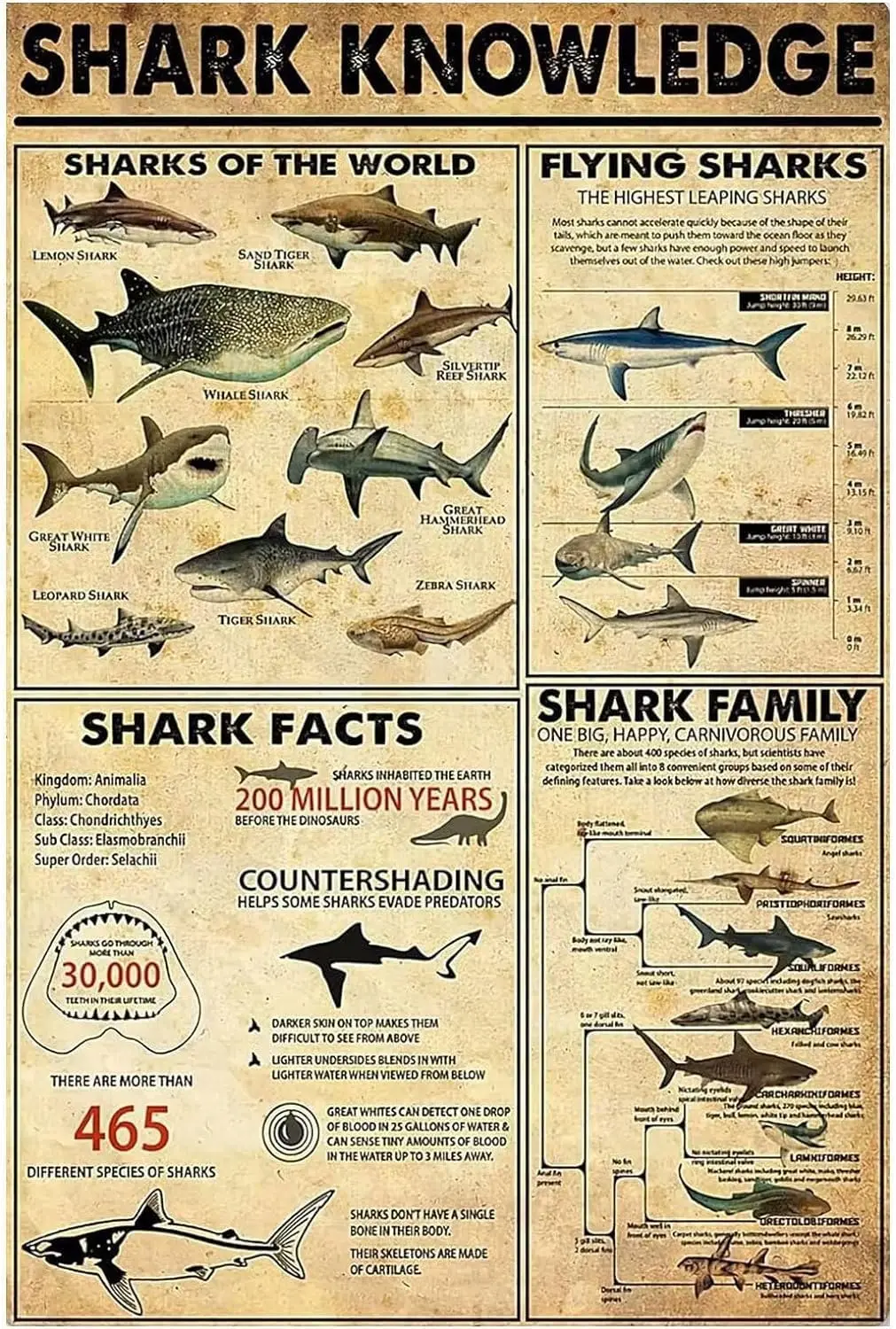 Plaque murale décorative en métal « Shark Knowledge », affiche amusante « Requins du monde », pour école, café, salle de bain, cuisine, maison