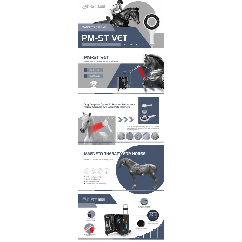 PEMF For Horse Treatment Promoting  Magneto Rehabilitating And Pain Relief Also For Vet