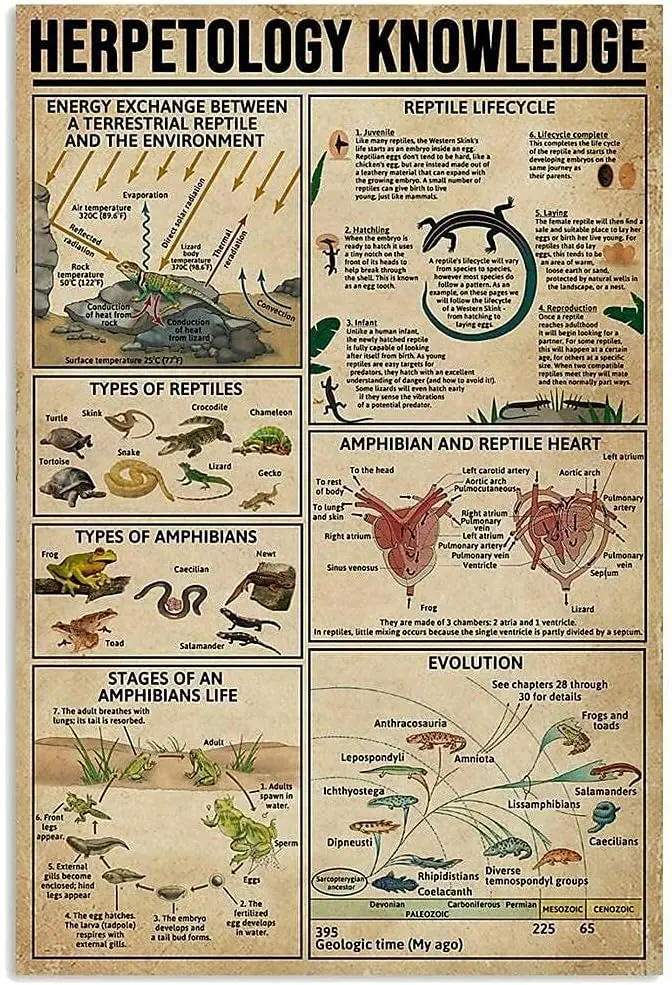 QSHPO Affiches éducatives sur l'herpétologie, Panneaux métalliques, Décoration murale pour ferme, club, maison, Plaque rétro esthétique pour chambre, 8x12 pouces, 8x12 pouces